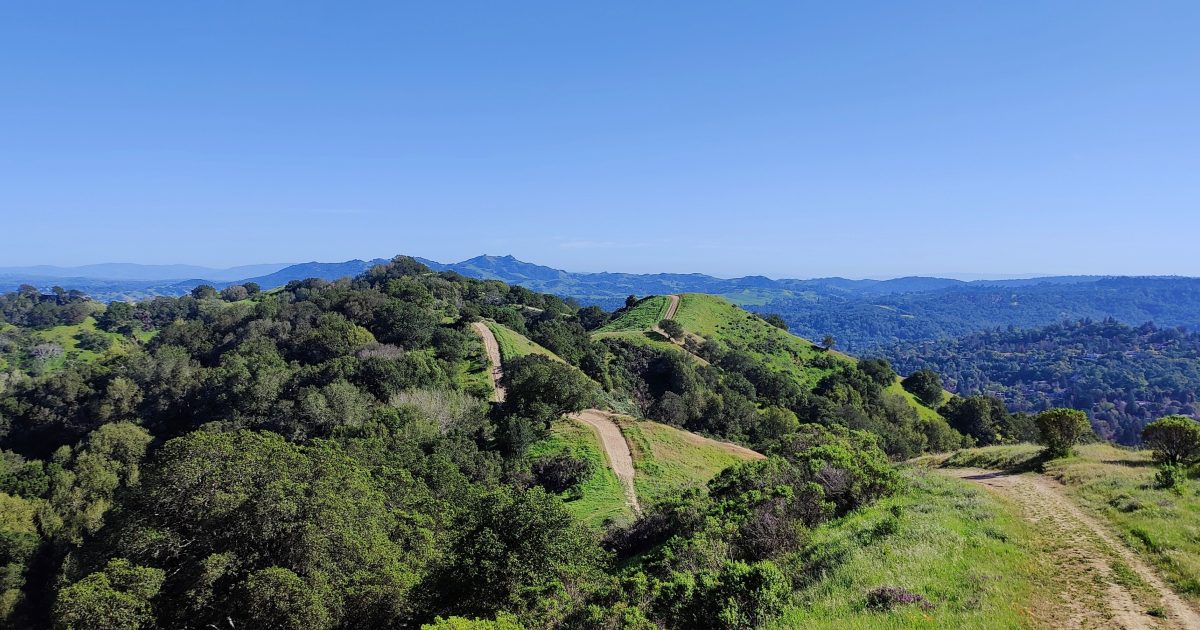 Guide to Visiting Briones Regional Park Stay Pleasant Hill